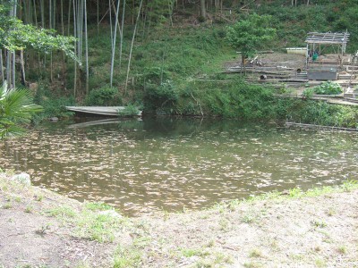 小規模な遊水地に