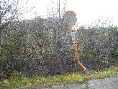 片島のカーブミラーコンクリートの台は浮き上がっていました。