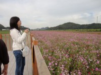 きれいな花が大好き