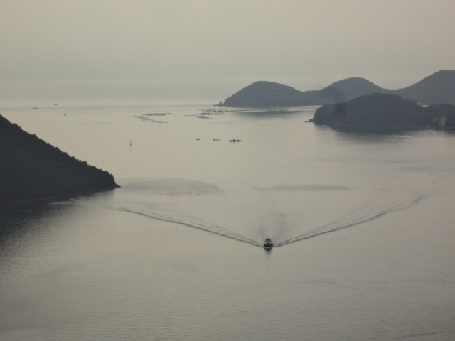 鏡のような水面に波のベールを広げて進む船